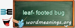 WordMeaning blackboard for leaf-footed bug